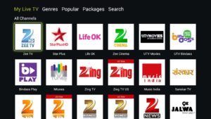 Download Live NetTV - Watch Live TV Channels v4.5.1 APK Free